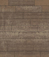  Брусчатка Прямоугольник Листопад 2.П.6 60 мм. Хаски: внешний вид